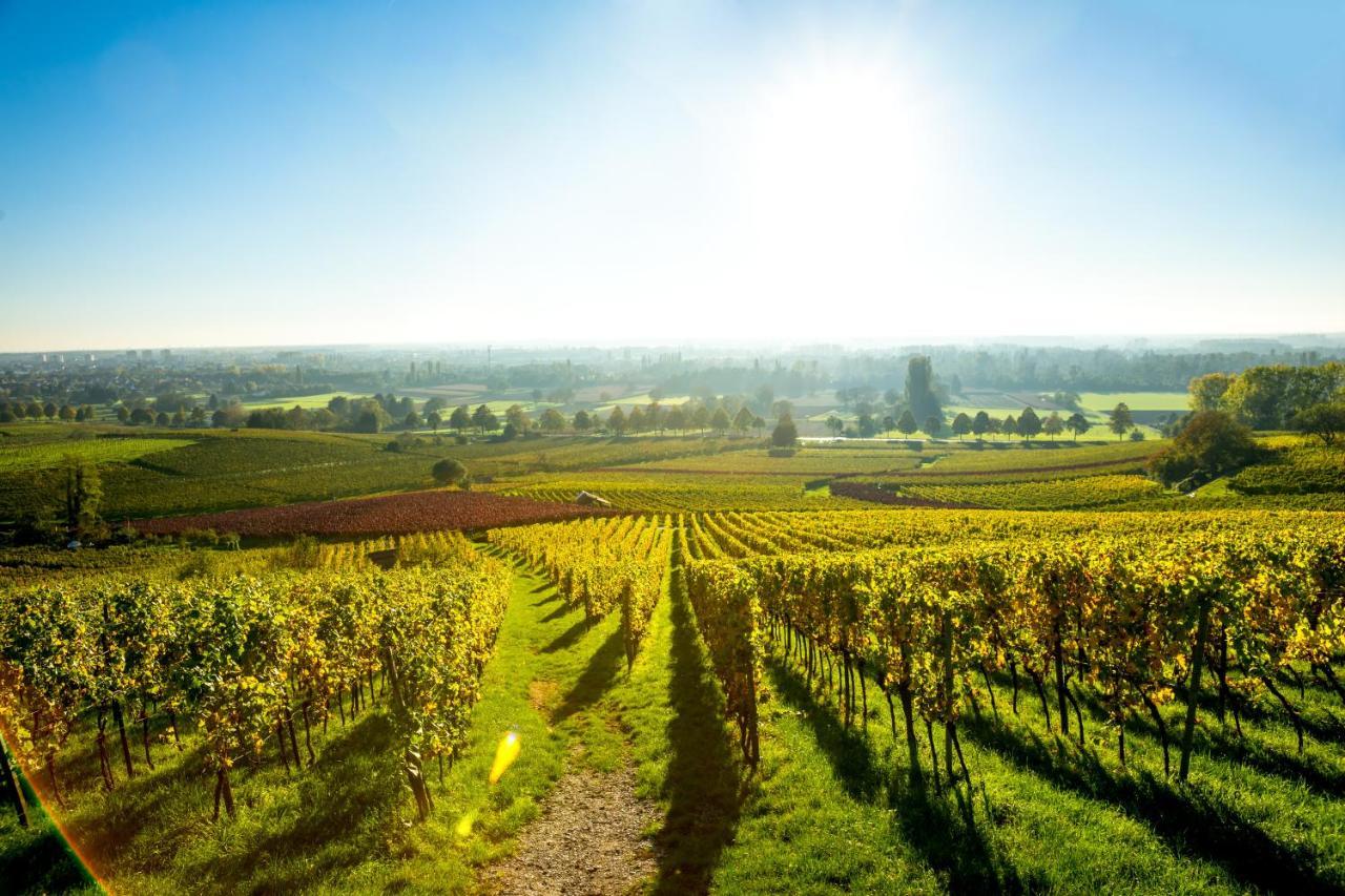 Clos Ceres Vire  ภายนอก รูปภาพ